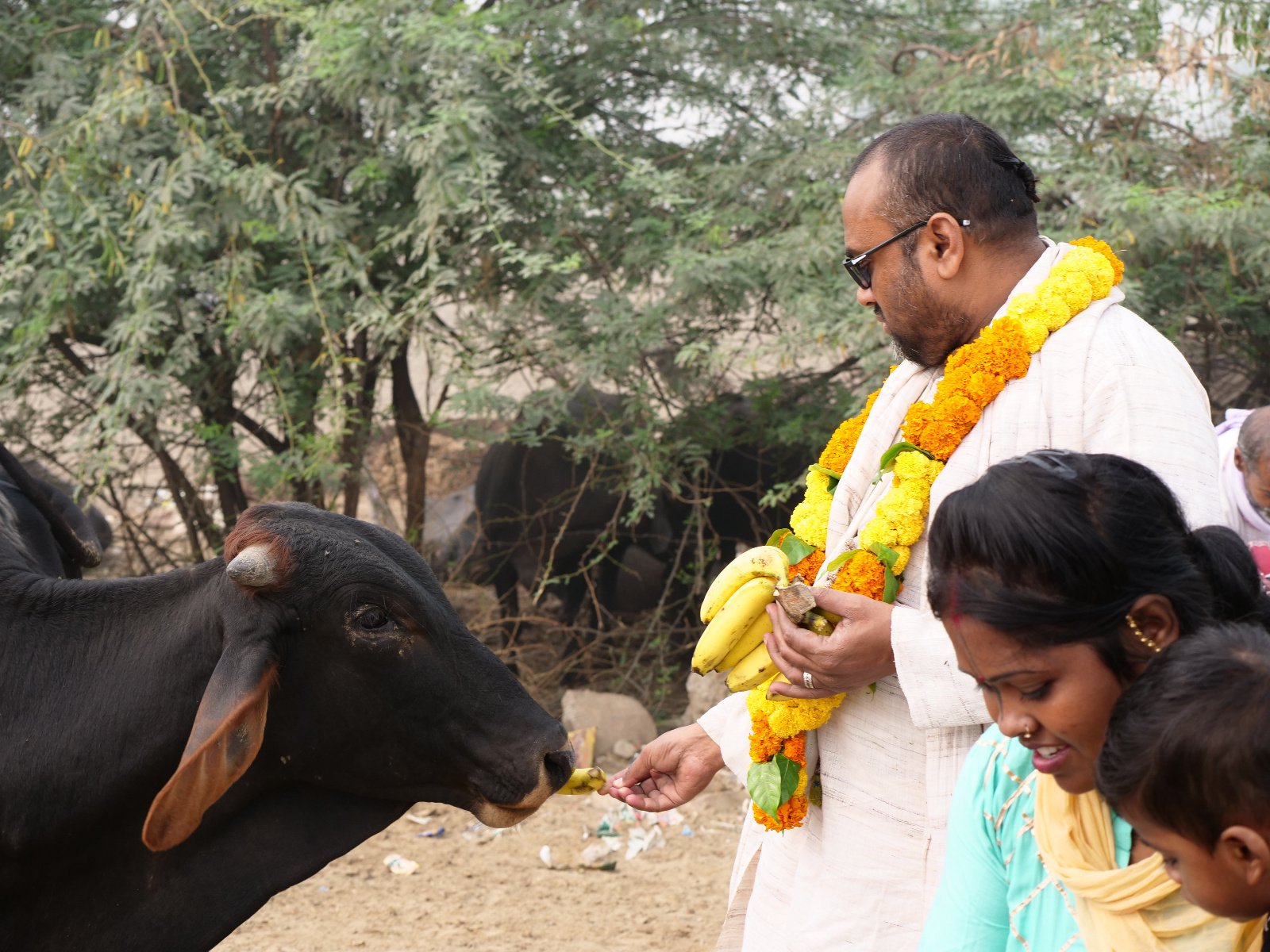  150 Gopashtami Radha kunda Govardhan 19.11.04